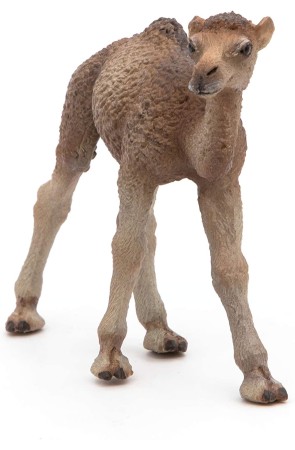 Figura Cria Dromedario - Papo