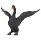 Figura de Colección Ave Cisne Negro