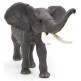 Figura Elefante Africano Enfadado  Papo