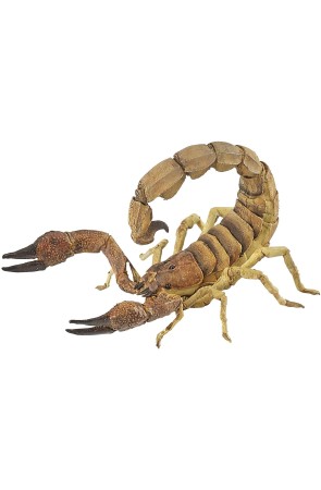 Figura Escorpion - Papo