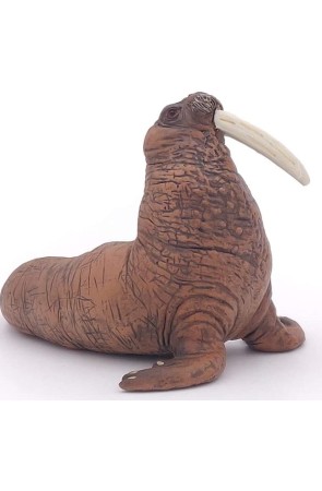 Figura Morsa - PAPO