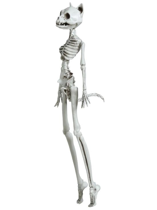 Halloween Gato Esqueleto 37cm