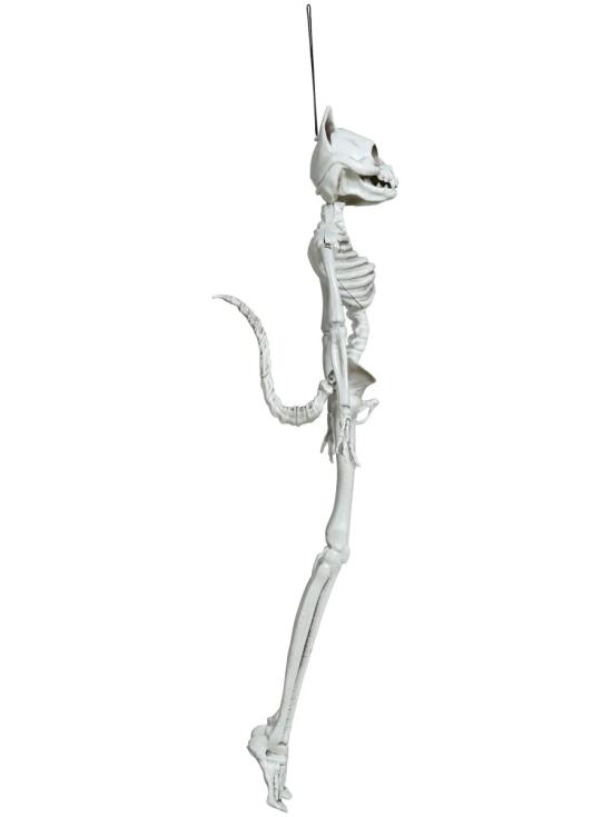 Halloween Gato Esqueleto 37cm