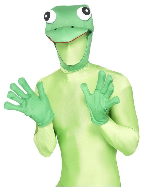 Kit de Rana Verde