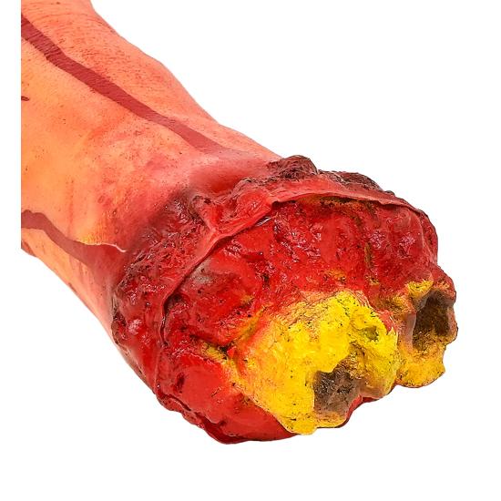 Mano Amputada a Tamaño Real – Accesorio de Terror para Halloween y Escaparates