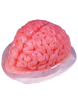 Molde de gelatina cerebral