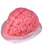 Molde de gelatina cerebral