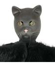 Máscara Gato Latex