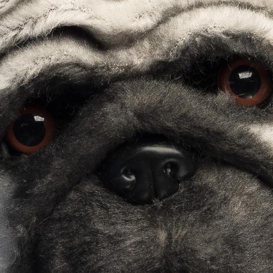 Máscara realista de perro (carlino) – Disfraz divertido y llamativo