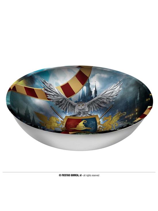 Vajilla de Fiesta Harry Potter