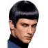 Peluca Comandante Star Trek Negra en Caja