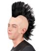 Peluca Maxi de Punky