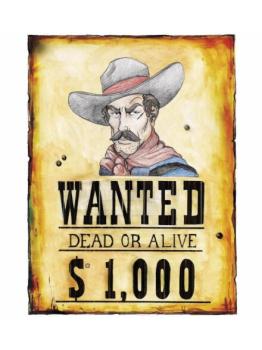 Poster Wanted 38 x 50 cms