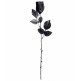 Rosa Negra de 44 cm..