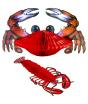 Set 2 pcs Cangrejo y Langosta