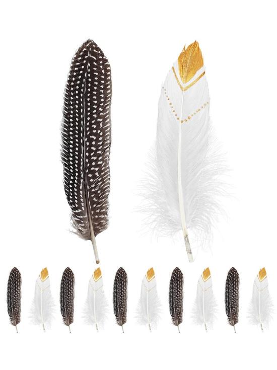 Set 12 Plumas indias *