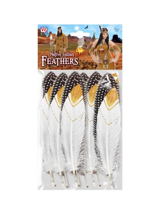 Set 12 Plumas indias *