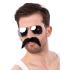 Set Freddie Mercury