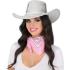 Sombrero Vaquero Plata Disco 80