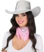 Sombrero Vaquero Plata Disco 80