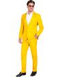 Traje de Color para Hombre, Chaqueta y pantalón, Showman, Disco Fever, Fiesta temática Casino